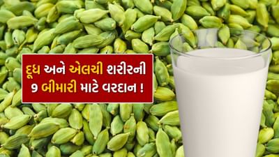 લીલી એલચી, જેને ઘણીવાર 'મસાલાની રાણી' કહેવામાં આવે છે, તે ભારતીય ભોજનમાં તેના અનન્ય સ્વાદ અને સુગંધ માટે જાણીતી છે. તે ખાવાને સ્વાદિષ્ટ તો બનાવે જ છે પરંતુ સ્વાસ્થ્ય માટે પણ ઘણી રીતે ફાયદાકારક છે. જ્યારે આપણે લીલી એલચીને દૂધમાં ભેળવીને પીતા હોઈએ છીએ ત્યારે તેની ફાયદાકારક અસર વધુ વધી જાય છે. લીલી એલચીને દૂધમાં ભેળવીને ખાવાથી સ્વાસ્થ્ય તો સારું રહે છે સાથે સાથે શરીર અંદરથી મજબૂત બને છે. તેનું નિયમિત સેવન કરવાથી તમે સ્વસ્થ, ઉર્જાવાન અને ફિટ અનુભવી શકો છો. ચાલો જાણીએ દૂધમાં લીલી એલચી મિક્સ કરીને ખાવાના કેટલાક મહત્વના ફાયદા.