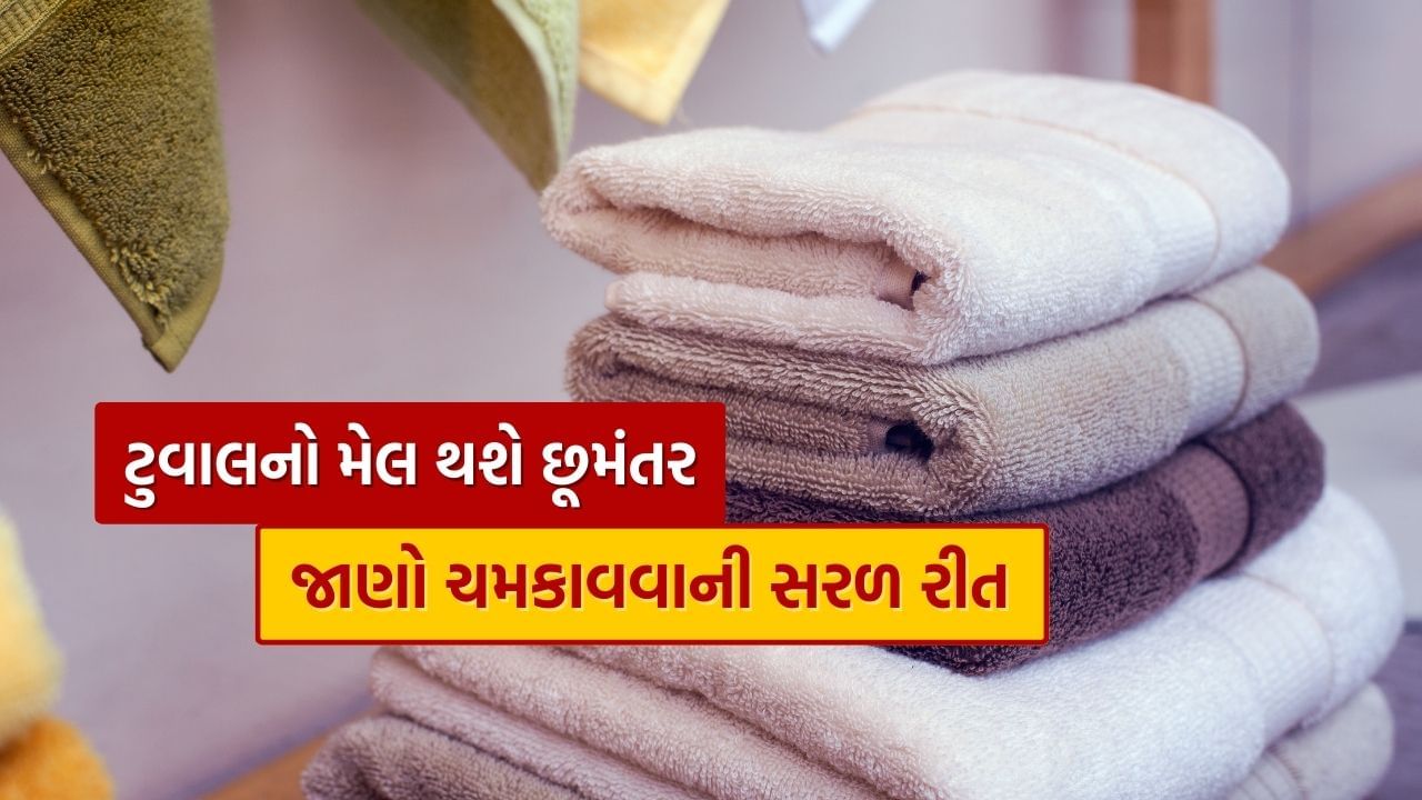 ટુવાલ જો સમય-સમય પર સાફ કરવામાં ન આવે તો તેમાં ગંદકી જામી જાય છે અને તેમાંથી દુર્ગંધ પણ આવવા લાગે છે. અહીં અમે કેટલીક સરળ ટિપ્સ જણાવી રહ્યા છીએ જેની મદદથી તમે તમારા ઘરના ટુવાલને એકદમ સાફ અને નવા જેવા રાખી શકો છો.