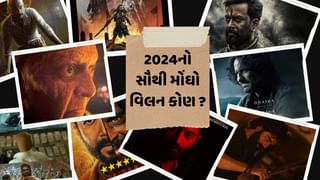 Year Ender 2024 : આ વર્ષનો સૌથી મોંઘો વિલન કોણ બન્યો,જેમણે 10 મિનિટના રોલ માટે 20 કરોડનો ચાર્જ લીધો