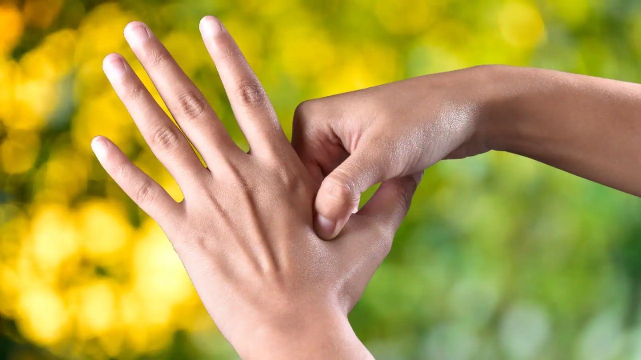 શું એક્યુપ્રેશર ત્વચા અને વાળ માટે પણ ફાયદાકારક છે?- આજકાલ બદલાતી જીવનશૈલીના કારણે ત્વચા અને વાળ સંબંધિત સમસ્યાઓ સામાન્ય છે. આવી સ્થિતિમાં એક્યુપ્રેશર મદદરૂપ સાબિત થઈ શકે છે. આ થેરાપી દ્વારા તમે સ્કેલ્પ સંબંધિત સમસ્યાઓથી રાહત મેળવી શકો છો. આ ટ્રીટમેન્ટ સ્નાયુઓને આરામ આપીને તમારી ત્વચાને પણ ફાયદો પહોંચાડી શકે છે.