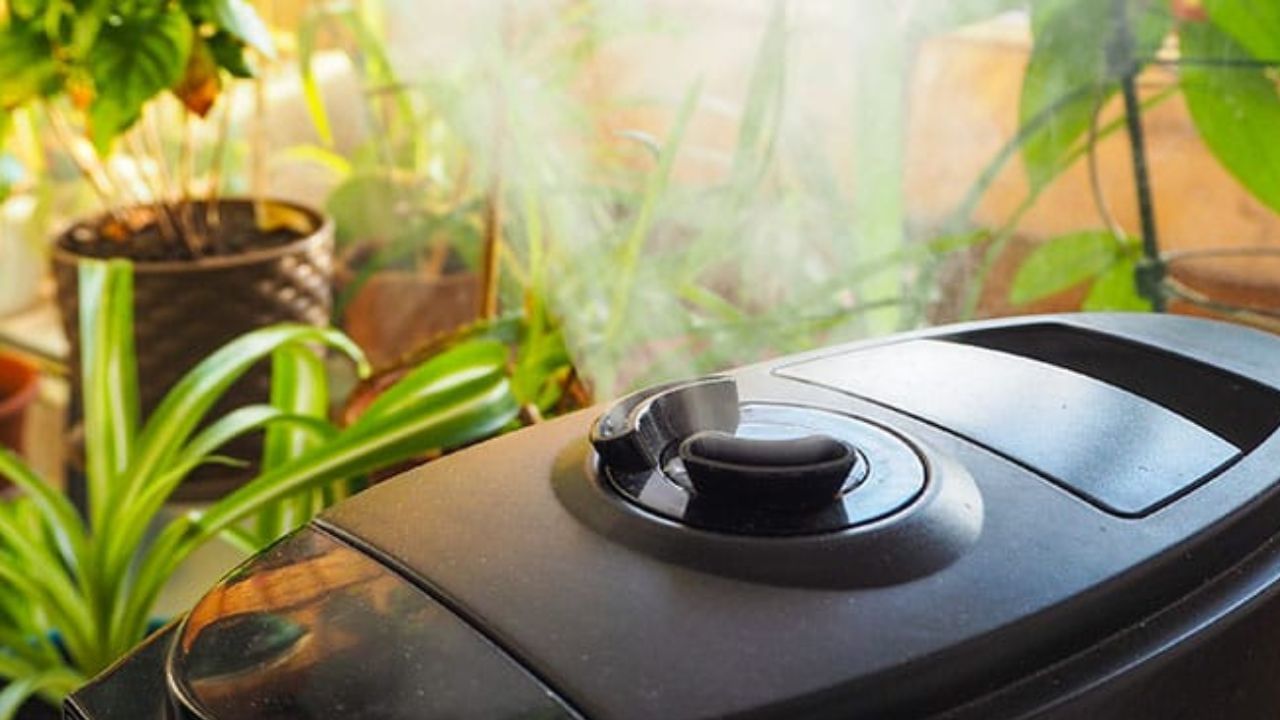 હ્યુમિડિફાઇંગ: નાકમા સોજા અને બંધ નાકમાં રાહત રૂમમાં હ્યુમિડિફાયરનો ઉપયોગ કરો.રૂમમાં હ્યુમિડિફાયરનો ઉપયોગ કરવાથી આસપાસની હવામાં ભેજનું સ્તર જાળવી રાખવામાં મદદ મળી શકે છે.