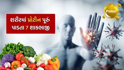 પ્રોટીન આપણા શરીરની રોગપ્રતિકારક શક્તિને મજબૂત રાખવામાં અને આપણા સ્નાયુઓના એકંદર આરોગ્યને જાળવવામાં મહત્વપૂર્ણ ભૂમિકા ભજવે છે. આવી સ્થિતિમાં, આપણા દૈનિક આહારમાં પ્રોટીનનો સમાવેશ કરવો જરૂરી છે જેથી કરીને આપણું એકંદર સ્વાસ્થ્ય સારું રહે અને ઘણી બીમારીઓ આપણાથી દૂર ભાગી જાય.