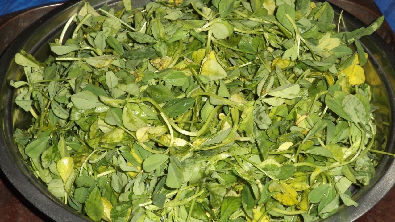 પાલક પ્રોટીનની સાથે આયર્નનો પણ ઉત્તમ સ્ત્રોત છે. તમે પાલકની કઢી બનાવી શકો છો. આ સિવાય તમે સલાડ કે સ્મૂધી બનાવવામાં પણ પાલકનો ઉપયોગ કરી શકો છો. પાલકમાં માત્ર કેલરી ઓછી નથી, પરંતુ તેમાં ઘણા બધા વિટામિન, પોષક તત્વો અને ફાઈબર પણ હોય છે, જેના કારણે તેને સુપરફૂડ તરીકે ઓળખવામાં આવે છે. તેમાં પોટેશિયમનું પણ સારું પ્રમાણ હોય છે, જે શરીરમાં બ્લડ પ્રેશરને ઓછું રાખવામાં મદદ કરે છે.