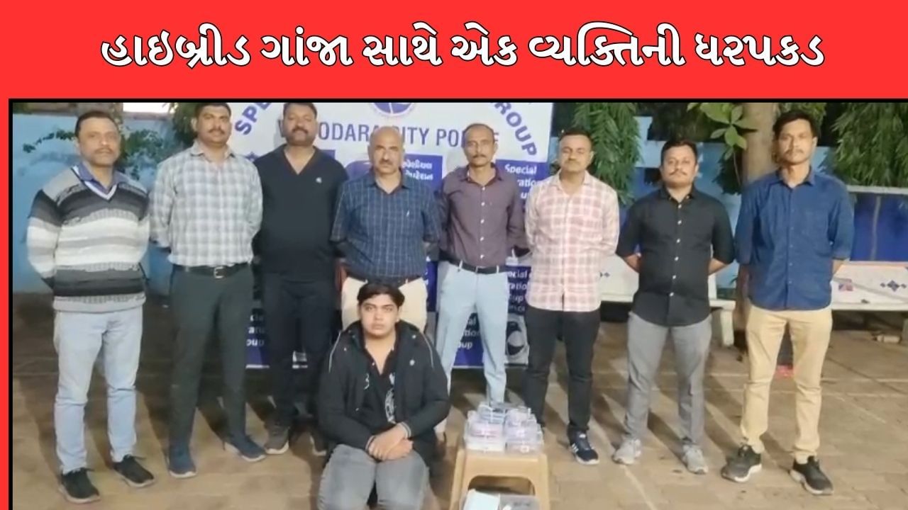 વડોદરામાંથી ઝડપાયો  22 લાખ રુપિયાનો હાઈબ્રીડ ગાંજો, 20 વર્ષીય આરોપીની ધરપકડ, જુઓ Video