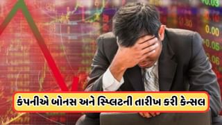 SEBI Action : સેબીની આ કંપની પર મોટી કાર્યવાહી, ટ્રેડિંગ કર્યું બંધ, કંપની આપવાની હતી બોનસ શેર