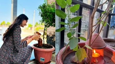 સનાતન ધર્મમાં તુલસીના છોડનું વિશેષ મહત્વ છે. જ્યોતિષશાસ્ત્રમાં આ છોડને ખૂબ જ શુભ માનવામાં આવે છે. તુલસીમાં માતા લક્ષ્મીનો વાસ છે. સવાર-સાંજ દીવા પ્રગટાવવાની અને આ છોડની પૂજા કરવાની પરંપરા છે. એવું માનવામાં આવે છે કે આવું કરવાથી ઘરમાં દેવી લક્ષ્મીનો વાસ રહે છે અને ક્યારેય પણ ધનની કમી નથી આવતી. તેની સાથે જ ભગવાન વિષ્ણુ અને માતા લક્ષ્મીની કૃપા પ્રાપ્ત થાય છે. એવું કહેવાય છે કે તુલસી પૂજા દરમિયાન નિયમોનું પાલન ન કરવાથી દેવી લક્ષ્મી નારાજ થાય છે અને ઘરમાં દરિદ્રતા આવે છે. આવો જાણીએ તુલસી પૂજાના નિયમો અને પૂજાના ફાયદા વિશે.