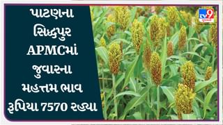 પાટણના સિદ્ધપુર APMCમાં જુવારના મહત્તમ ભાવ રૂપિયા 7570 રહ્યા, જાણો જુદા-જુદા પાકના ભાવ