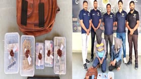 મંદિરોમાંથી ચોરી કરતી પશ્ચિમ બંગાળની ગેંગનો પર્દાફાશ ! 2 આરોપી ધરપકડ