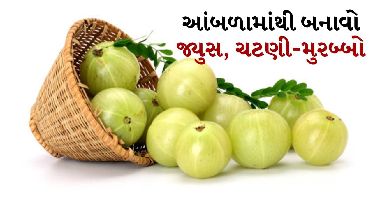 ગાજર, મૂળો અને લીલોતરી ઉપરાંત આંબળાને પણ શિયાળાનું સુપરફૂડ માનવામાં આવે છે. તે સ્વાદમાં ખાટી છે અને સ્વાસ્થ્ય માટે પણ ફાયદાકારક છે. આંબળામાં વિટામિન સી, એન્ટીઑકિસડન્ટ, ફાઇબર અને ઘણા ખનિજો ભરપૂર માત્રામાં હોય છે. જે સ્વાસ્થ્ય માટે ઘણી રીતે ફાયદાકારક છે. આ રોગપ્રતિકારક શક્તિને મજબૂત રાખવામાં મદદ કરે છે. આ સાથે તેઓ ત્વચા અને વાળ માટે પણ ફાયદાકારક છે.
