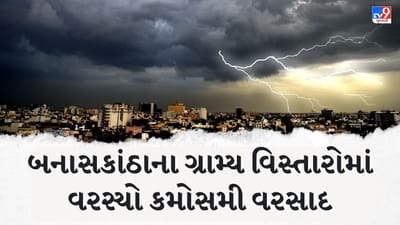 Banaskantha : પાલનપુરના ગ્રામ્ય વિસ્તારોમાં વરસ્યો કમોસમી વરસાદ, જગતના તાતની ચિંતામાં વધારો, જુઓ Video