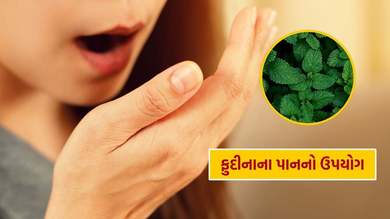શ્વાસની દુર્ગંધ માટે પણ ફુદીનો ખૂબ જ ફાયદાકારક છે. વરિયાળી અને એલચીની જેમ ફુદીનો પણ કુદરતી માઉથ ફ્રેશનર તરીકે કામ કરે છે. આવી સ્થિતિમાં, તમારે ખોરાક ખાધા પછી ફુદીનાના પાન પણ ચાવવા જોઈએ. આનાથી મગની દુર્ગંધ દૂર થઈ જશે.