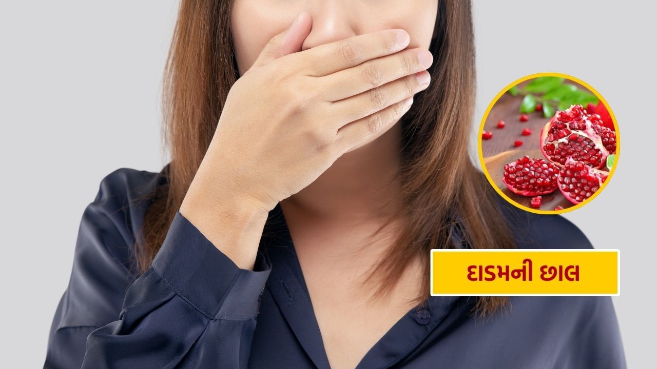 દાડમના દાણા શરીરને ઘણા ફાયદા આપે છે. પરંતુ તેની છાલ પણ ઘણી ઉપયોગી સાબિત થઈ શકે છે. શ્વાસની દુર્ગંધ દૂર કરવા માટે તમે દાડમની છાલમાંથી માઉથ વૉશ બનાવી શકો છો. આના માટે તમારે દાડમની છાલને પાણીમાં ઉકાળીને તેનાથી ગાર્ગલ કરવાની છે. તેનાથી શ્વાસની દુર્ગંધથી છુટકારો મળશે.