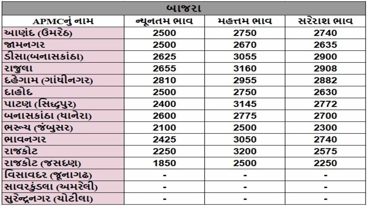 બાજરાના તા.20-12-2024ના રોજ APMCના ભાવ રૂ.1850 થી 3200 રહ્યા.