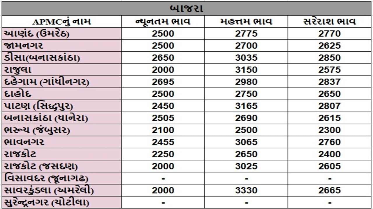 બાજરાના તા.24-12-2024ના રોજ APMCના ભાવ રૂ.2000 થી 3330 રહ્યા.