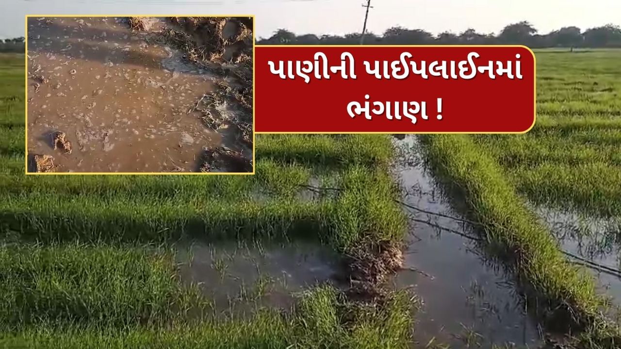 Banaskantha : કાંકરેજના માનપુરામાં પાણીની પાઈપલાઈનમાં ભંગાણ, ખેતરો પાણીથી તરબોડ, જુઓ Video