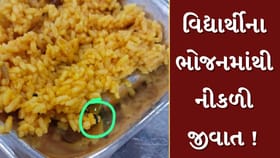 સમરસ હોસ્ટેલના વિદ્યાર્થીઓનું આરોગ્ય જોખમમાં ! ભોજનમાંથી જીવાત નીકળી