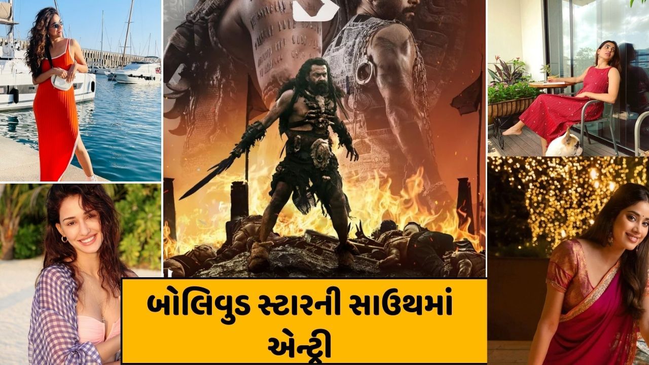 દર વર્ષે કોઈના કોઈ નવા સ્ટાર પોતાની કિસ્મત અજમાવવા માટે ફિલ્મ ઈન્ડસ્ટ્રીમાં આવે છે. આ વર્ષે 2024માં કેટલાક નવા સ્ટારે એક્ટિંગમાં કરિયર શરુ કર્યું છે. તો બોલિવુડ અને સાઉથના કેટલાક સ્ટાર છે જેમણે બોલિવુડ અને સાઉથમાં ડેબ્યુ કર્યું છે. કેટલાક સ્ટારની ફિલ્મ સુપરહિટ રહી હતી.