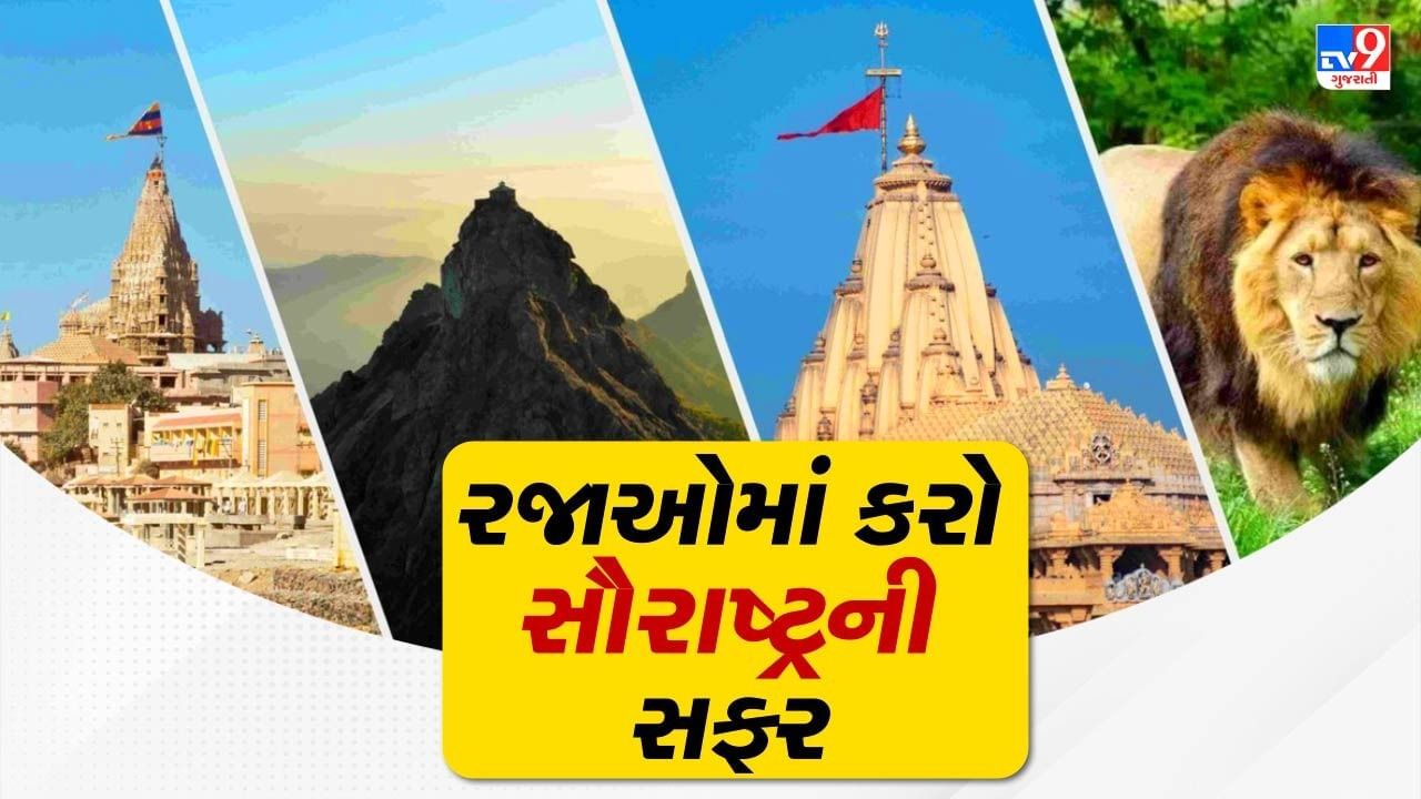 નાતાલની રજાઓમાં મોટાભાગના લોકો ઘરની બહાર ઉજવણી કરવા માગતા હોય છે. તો આજે આપણે જાણીશું કે તમે તમારા મિત્રો અથવા તો પરિવાર સાથે ઓછા બજેટમાં સૌરાષ્ટ્રના ક્યાં સ્થળોએ જોઈ શકો છો. તેમજ ત્યાંની મજામાણી શકો છો.