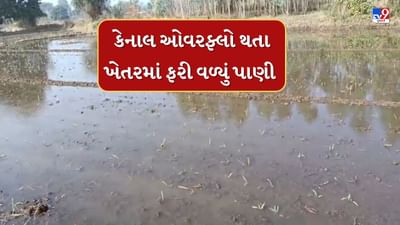 Mahisagar : ખેડૂતોને પડ્યા પર પાટુ ! કાકચિયાં પાસે આવેલી કેનાલ ઓવર ફ્લો થતા ખેતરમાં ફરી વળ્યું પાણી, જુઓ Video