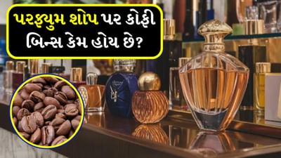 તમે એ પણ નોંધ્યું હશે કે લોકો મોટાભાગના પરફ્યુમ સ્ટોર્સમાં કોફી બીન્સ રાખે છે. શું તમે જાણો છો આ પાછળનું કારણ? આજે અમે તમને તેની પાછળનું કારણ જણાવીશું.