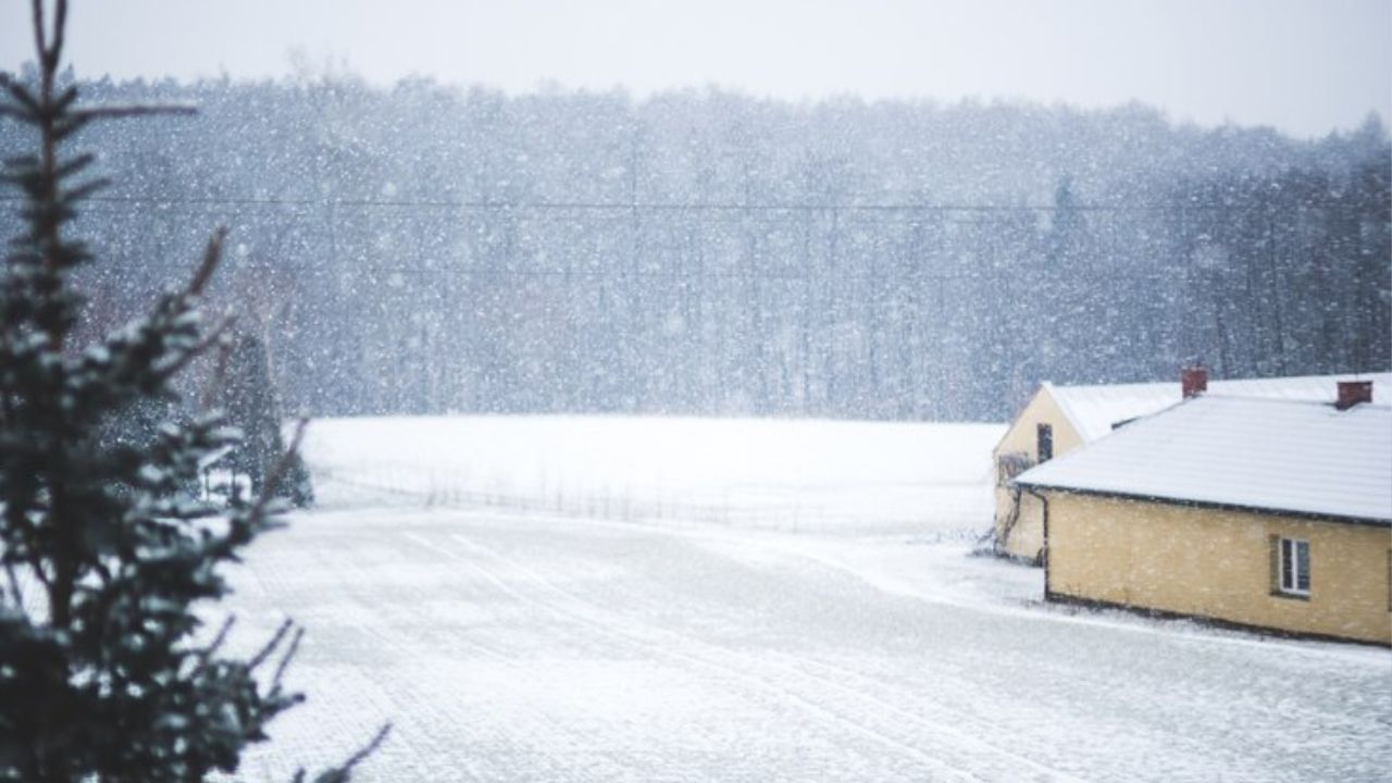 અહીં સરેરાશ તાપમાન -55 ડિગ્રી સેલ્સિયસ છે. આ જગ્યાએ કોઈ વૃક્ષો, છોડ કે પ્રાણીઓ જોવા મળતા નથી. તમને જણાવી દઈએ કે વૈજ્ઞાનિકો પૃથ્વીના ઈતિહાસ વિશે જાણવા માટે અહીં સંશોધન કરે છે.