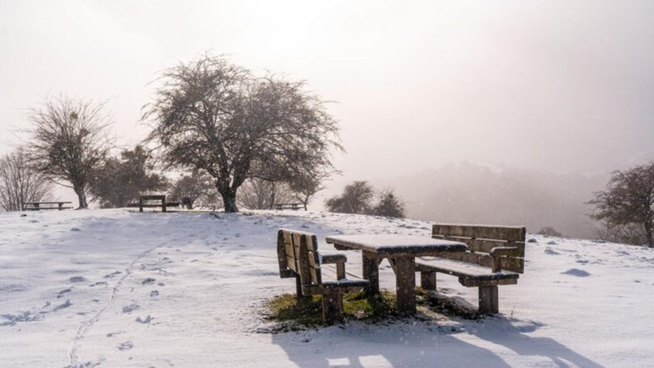 આ સ્ટેશન પર વૈજ્ઞાનિકો રહે છે, પરંતુ તેમના માટે અહીં રહેવું ખૂબ જ મુશ્કેલ હોય છે. તેમને ખાસ પ્રકારનાં કપડાં અને સાધનોનો ઉપયોગ કરવો પડે છે જેથી તેઓ આવી ઠંડીમાં ટકી શકે. (Image - freepik)