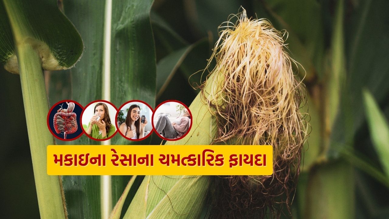 પાચનતંત્રને મજબૂત કરવાથી લઈ માસિક સ્રાવની પીડા સુધી અનેક સમસ્યા જેનો ઈલાજ લોકો શોધતા હોય છે. તેમાં અનેક પ્રકારના વિટામિન અને એન્ટીઑકિસડન્ટ પણ હોય છે.