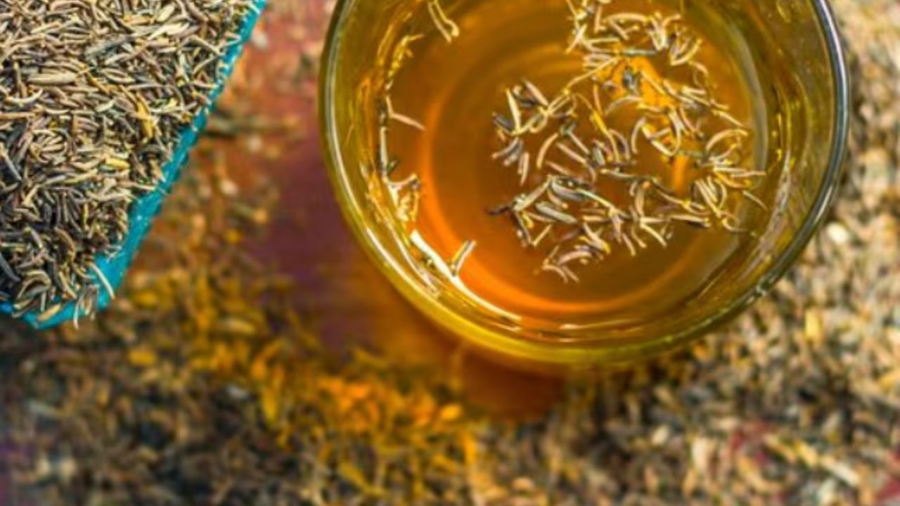 ધાણા અને જીરું પણ પાણી સાથે પીવામાં આવે છે. આ બંને ચયાપચય ઘટાડવામાં અને શરીરને ડિટોક્સિફાય કરવામાં મદદ કરે છે. પરંતુ વજન ઘટાડવા માટે બેમાંથી કયું સારું છે? ચાલો આ માહિતીમાં જાણીએ.
