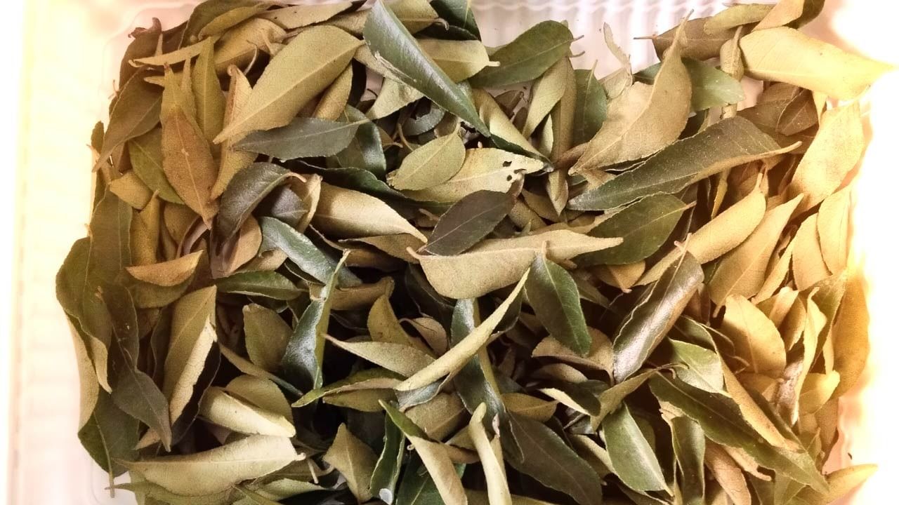 કદાચ તમને જાણીને નવાઈ લાગશે કે તે લોહીમાં ખરાબ કોલેસ્ટ્રોલને ઘટાડવામાં કઢીના પાંદડા મહત્વની ભૂમિકા ભજવે છે. કઢીના પાંદડા લોહીમાં સારા કોલેસ્ટ્રોલની માત્રા વધારીને હૃદયના રોગો સામે રક્ષણ આપે છે.કઢીના પાંદડામાં આપણા શરીરમાં રહેલા ગંદા કોલેસ્ટ્રોલને બહાર કરવામાં મદદ કરે છે.જેના કારણે આપણે હૃદયની બીમારીઓથી દૂર રહી શકીએ છીએ.