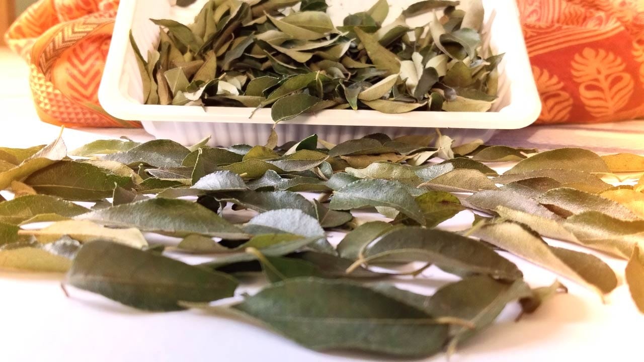 એનિમિયા માત્ર શરીરમાં લોહીની ઉણપને કારણે નથી થતું.વાસ્તવમાં જ્યારે શરીરની આયર્નને શોષવાની અને તેનો યોગ્ય રીતે ઉપયોગ કરવાની ક્ષમતા ઘટી જાય છે, ત્યારે આપણને એનિમિયા થવાનું જોખમ વધી જાય છે. આ રોગથી છુટકારો મેળવવા માટે કઢી પાંદડા ખૂબ જ ફાયદાકારક છે.તેમાં મોટી માત્રામાં આયર્ન અને ફોલિક એસિડ જોવા મળે છે. ફોલિક એસિડ આપણા શરીરમાં આયર્નને શોષવામાં મદદ કરે છે અને આયર્ન લોહીની ઉણપને પૂરી કરે છે.તેથી,જો તમે એનિમિયાથી પીડિત છો, તો દરરોજ સવારે ખાલી પેટ એક ખજૂર અને 3 કઢી પત્તા ખાઓ.