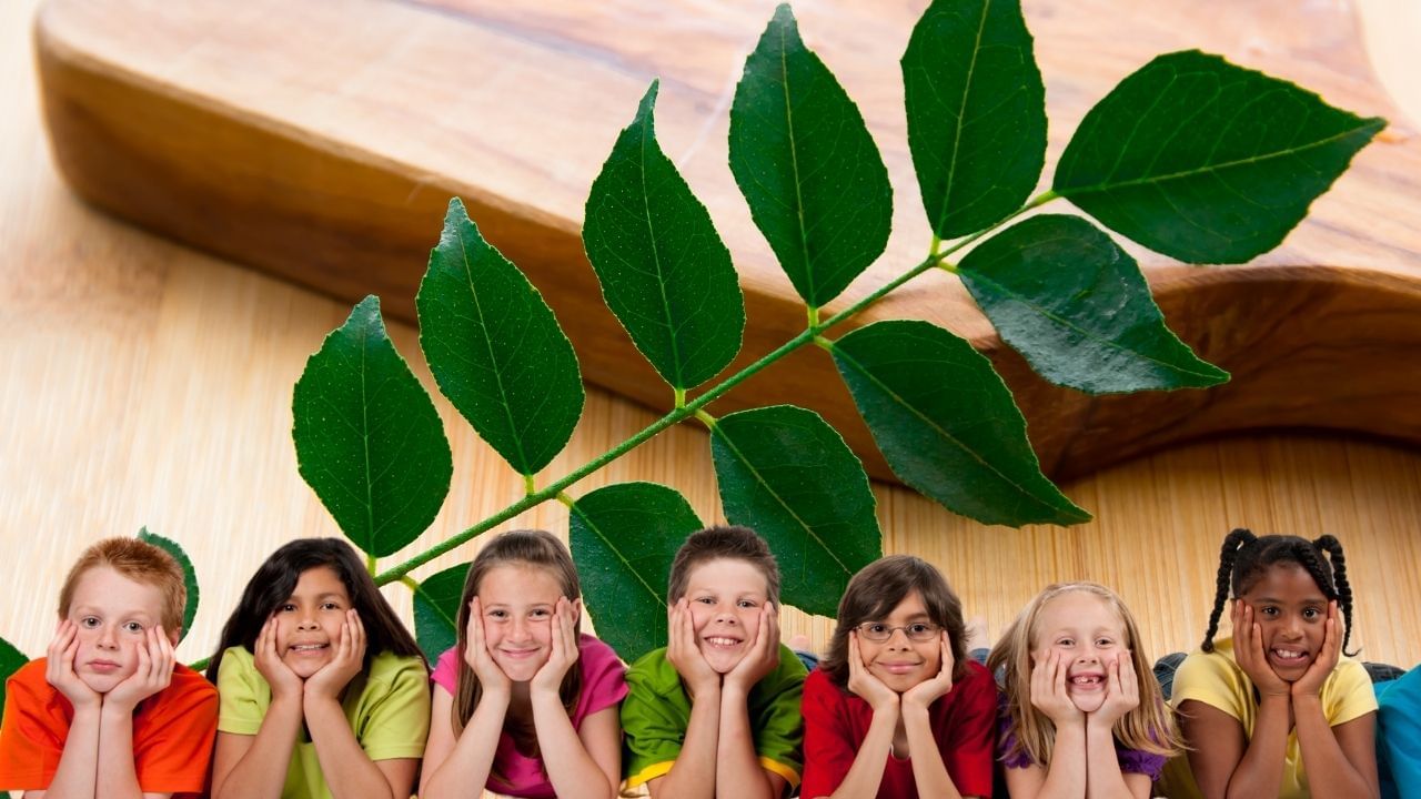 બાળકોને પણ મીઠો લીમડો ખવડાવશો નહીં. જેના કારણે બાળકોને કબજિયાત કે ગેસ જેવી પાચનની સમસ્યા થઈ શકે છે.