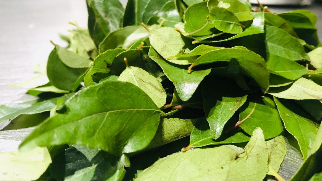 નિષ્ણાતો કહે છે કે દરરોજ 5-7 મીઠા લીમડાના પાનનું સેવન સલામત માનવામાં આવે છે. આનાથી વધુ ખાશો નહીં.