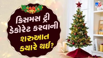 Christmas Tree Importance and History : નાતાલ એ ખ્રિસ્તી ધર્મનો મુખ્ય તહેવાર છે. દર વર્ષે 25 ડિસેમ્બરે આ તહેવાર સમગ્ર વિશ્વમાં ઉજવવામાં આવે છે. આ દિવસે ખ્રિસ્તી ધર્મના લોકો કેક કાપીને એકબીજાને ખવડાવે છે અને તેમને મેરી ક્રિસમસની શુભેચ્છા પાઠવે છે. તેમજ આ તહેવાર પર એકબીજાને ભેટ પણ આપવામાં આવે છે. આ દિવસે ક્રિસમસ ટ્રીને ખાસ રીતે સજાવવામાં આવે છે, પરંતુ શું તમે જાણો છો કે આ ક્રિસમસ ટ્રીને શા માટે શણગારવામાં આવે છે અને આ દિવસની શરૂઆત કેવી રીતે થાય છે.