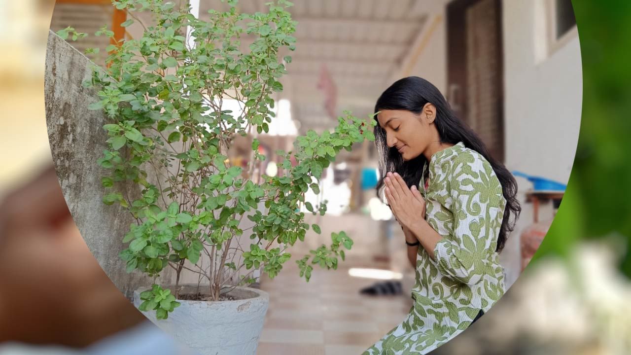 જે ઘરમાં દરરોજ માતા તુલસી પૂજા કરવામાં આવે છે અને જળ ચઢાવવામાં આવે છે, તે ઘરમાં ક્યારેય આર્થિક સમસ્યા નથી આવતી અને વ્યક્તિનું સ્વાસ્થ્ય પણ સુધરે છે. પરંતુ શું તમે જાણો છો કે તુલસીજીની પૂજા કરતી વખતે કેટલીક એવી પ્રવૃત્તિઓ છે જેને કરતી વખતે ટાળવી જોઈએ.