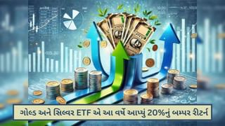 Year Ender 2024 : ગોલ્ડ અને સિલ્વર ETF બંનેએ આ વર્ષે આપ્યું 20%નું બમ્પર રીટર્ન, 2025માં ક્યાં રોકાણ કરવું?