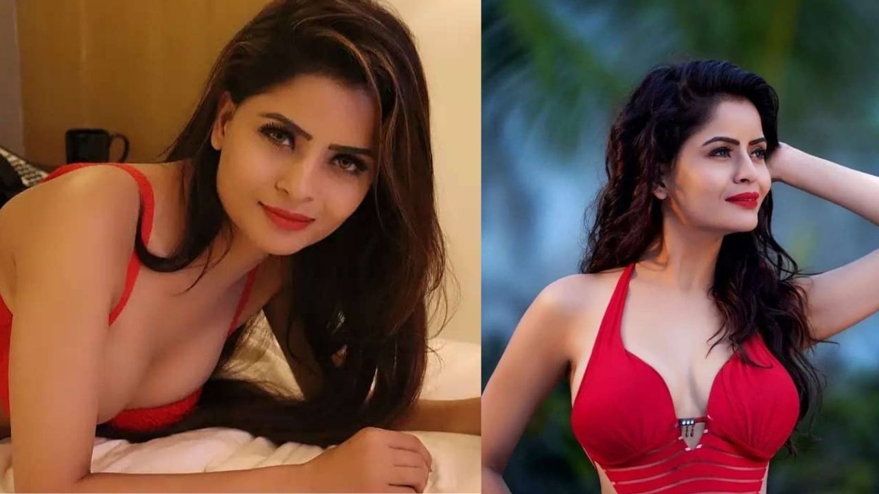 ગયા અઠવાડિયે દરોડા બાદ ગેહનાના 7 બેંક ખાતાઓ ફ્રીઝ કરવામાં આવ્યા હતા. તેમજ તેના બે મોબાઈલ ફોન અને ઘણા દસ્તાવેજો જપ્ત કરવામાં આવ્યા હતા. ગેહના પહેલા રાજ કુન્દ્રાને પણ સમન્સ જારી કરવામાં આવ્યા હતા અને તેમને પણ પૂછપરછ માટે બોલાવવામાં આવ્યા હતા. જોકે તેણે થોડો સમય માંગ્યો હતો. 