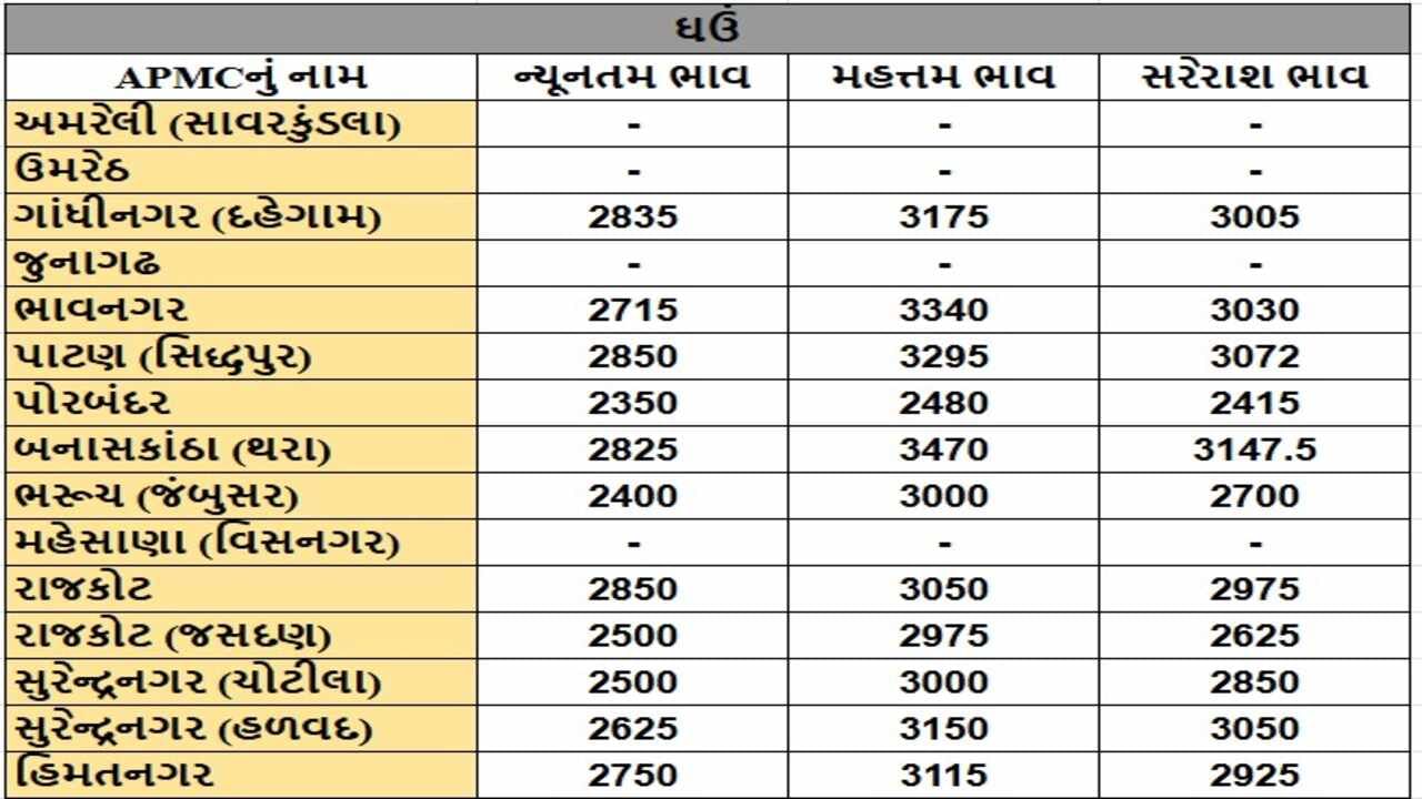 ઘઉંના તા.20-12-2024ના રોજ APMCના ભાવ રૂ.2350 થી 3470 રહ્યા.