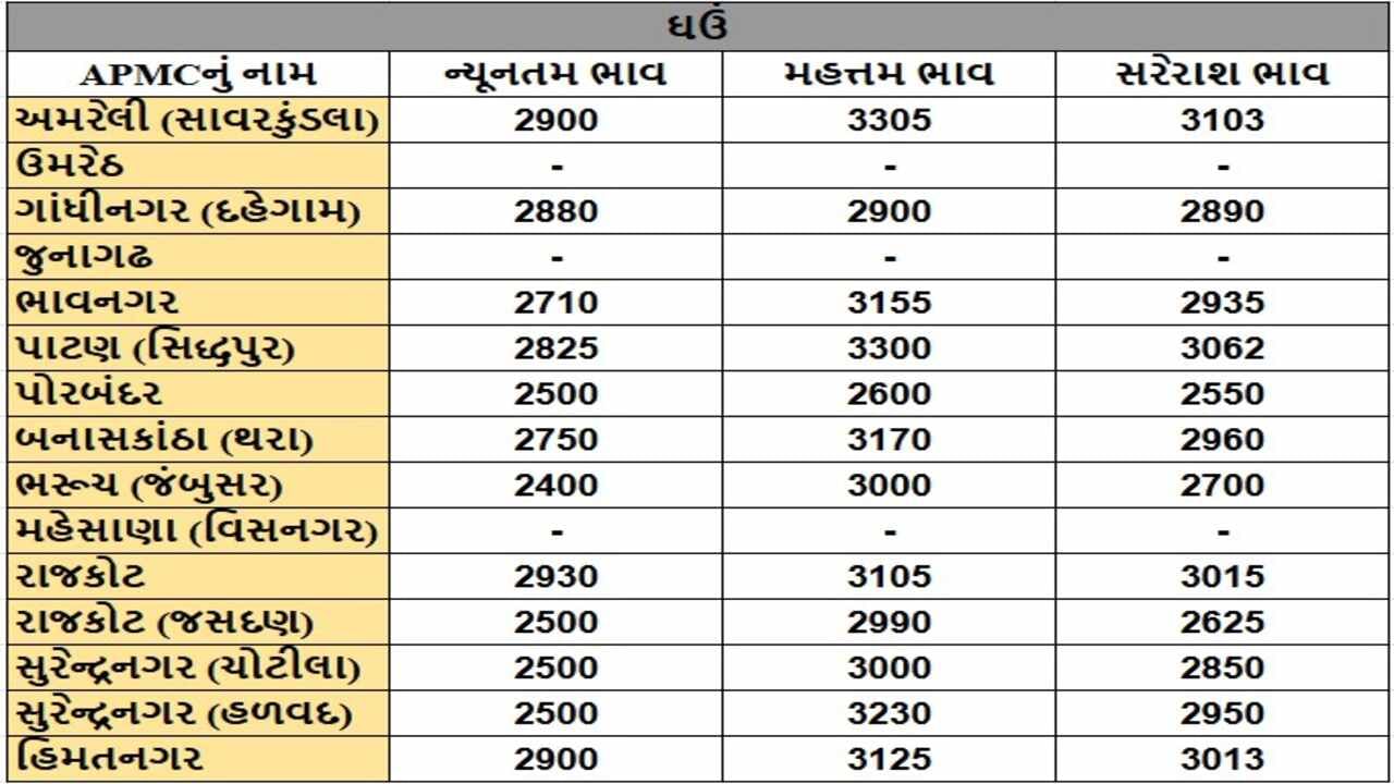 ઘઉંના તા.23-12-2024ના રોજ APMCના ભાવ રૂ.2400 થી 3305 રહ્યા.