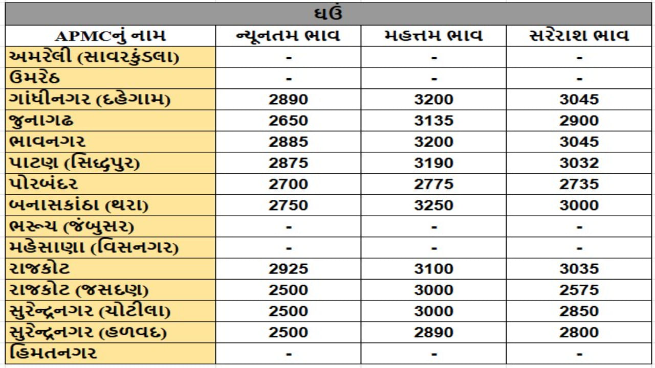 ઘઉંના તા.25-12-2024ના રોજ APMCના ભાવ રૂ.2500 થી 3250 રહ્યા.