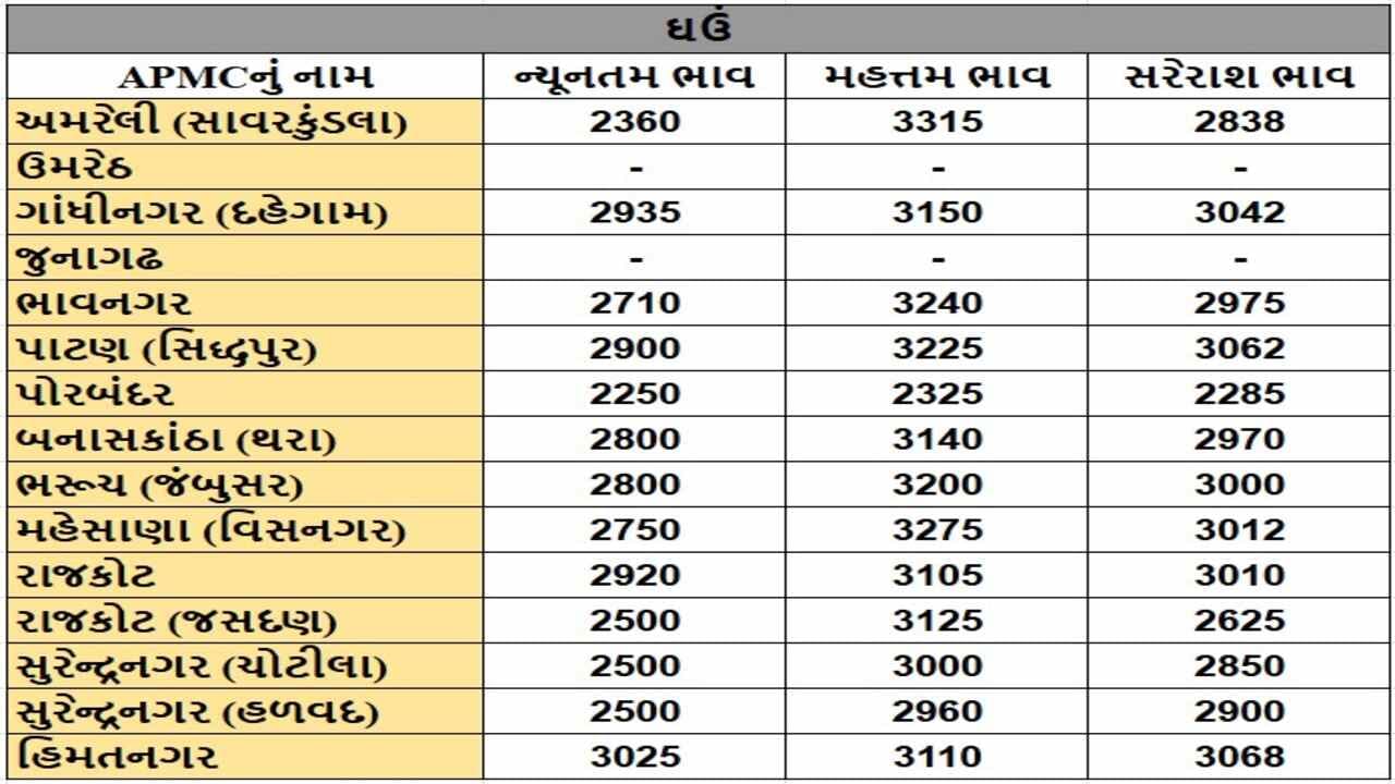 ઘઉંના તા.26-12-2024ના રોજ APMCના ભાવ રૂ.2250 થી 3315 રહ્યા.