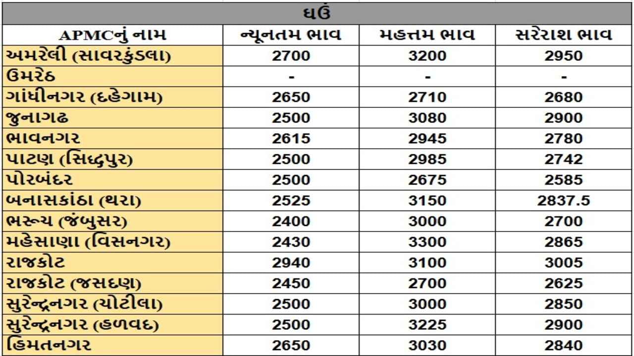 ઘઉંના તા.04-12-2024ના રોજ APMCના ભાવ રૂ.2400 થી 3300 રહ્યા.