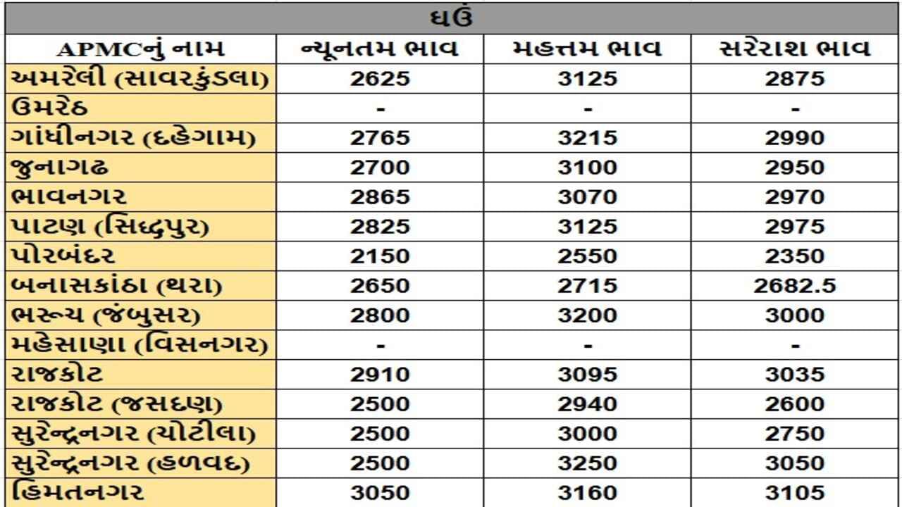 ઘઉંના તા.16-12-2024ના રોજ APMCના ભાવ રૂ.2150 થી 3250 રહ્યા.