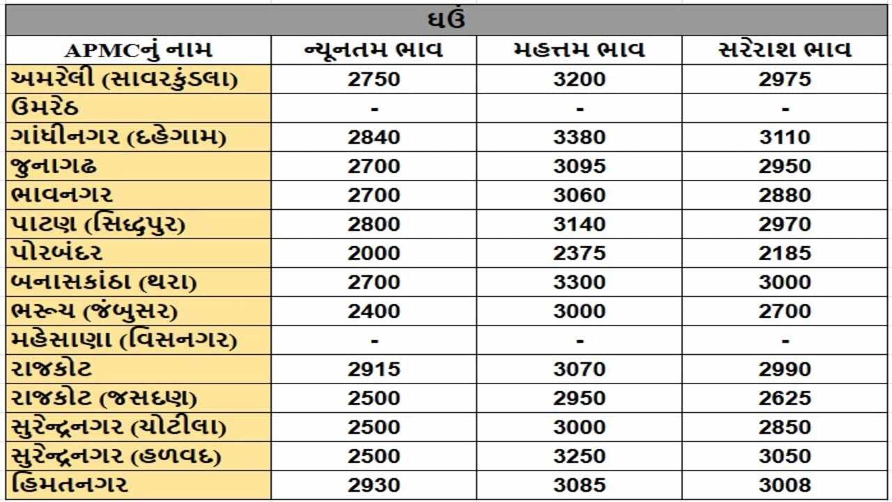 ઘઉંના તા.17-12-2024ના રોજ APMCના ભાવ રૂ.2000 થી 3380 રહ્યા.