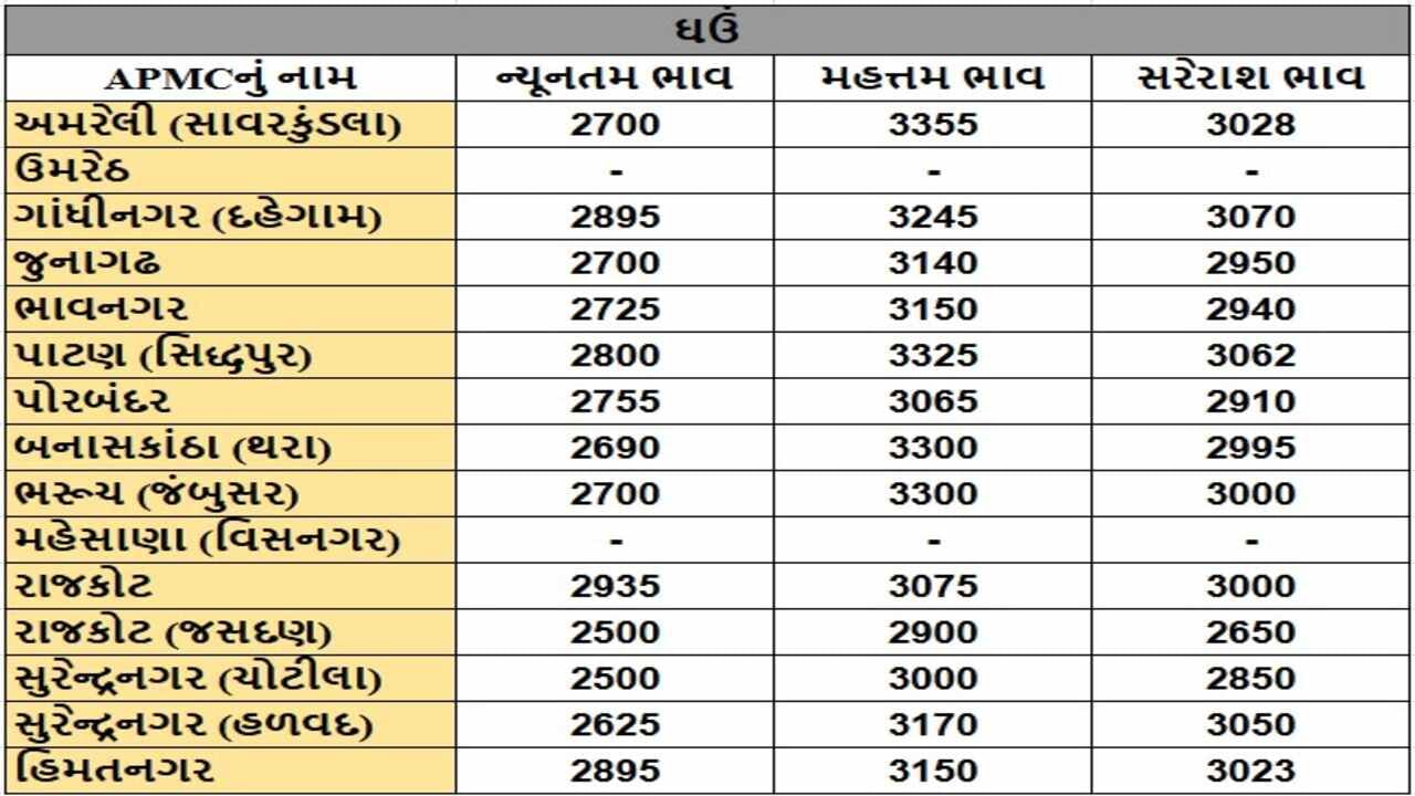 ઘઉંના તા.19-12-2024ના રોજ APMCના ભાવ રૂ.2500 થી 3355 રહ્યા.