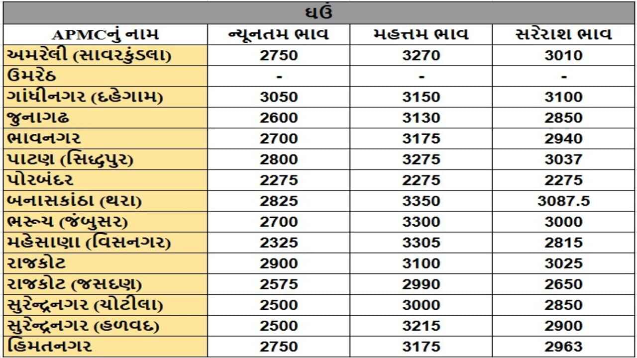 ઘઉંના તા.24-12-2024ના રોજ APMCના ભાવ રૂ.2275 થી 3350 રહ્યા.