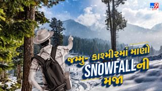 Travel With Tv9 : નાતાલની રજાઓમાં Snowfallની મજા માણવા જમ્મુ-કાશ્મીરનો કરો પ્રવાસ, જુઓ તસવીરો