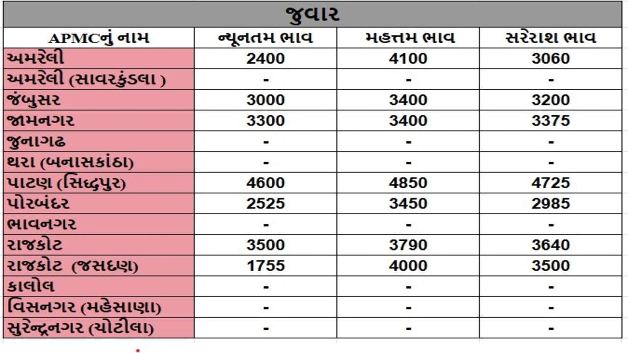 જુવારના તા.03-12-2024ના રોજ APMCના ભાવ રૂ.1755 થી 4850 રહ્યા.