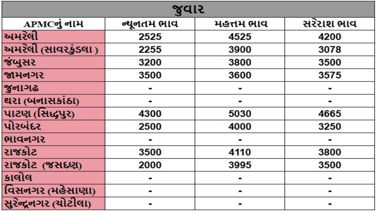 જુવારના તા.23-12-2024ના રોજ APMCના ભાવ રૂ.2000 થી 5030 રહ્યા.