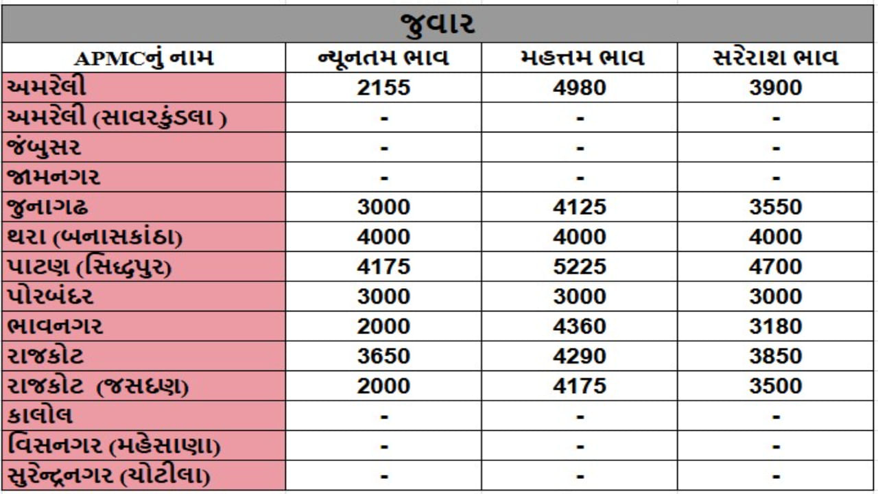 જુવારના તા.25-12-2024ના રોજ APMCના ભાવ રૂ.2000 થી 5225 રહ્યા.