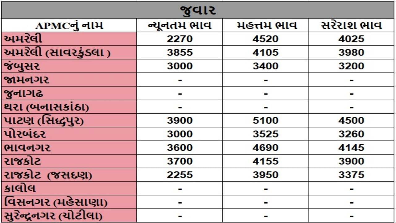 જુવારના તા.26-12-2024ના રોજ APMCના ભાવ રૂ.2255 થી 5100 રહ્યા.